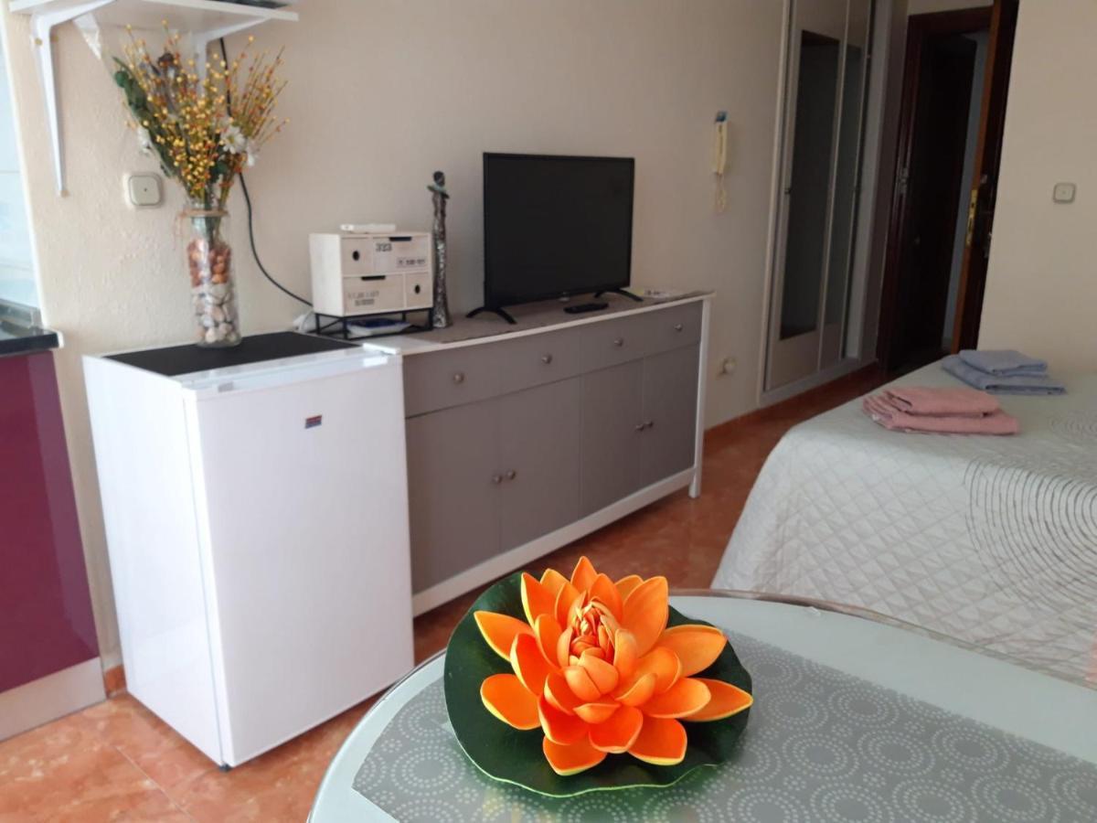 Almudena Estudio Torrevieja Dış mekan fotoğraf
