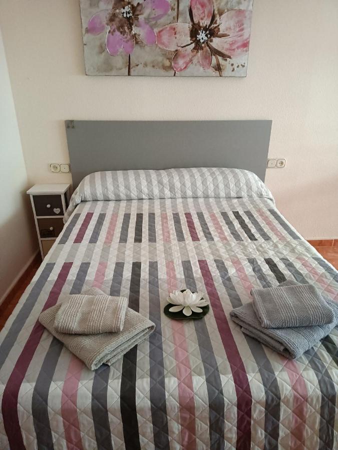 Almudena Estudio Torrevieja Dış mekan fotoğraf